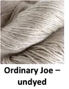 Ordinary Joe