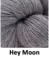 Hey Moon