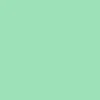 20-mint