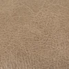 Canyon Silt