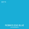 Robins Egg