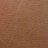 VU76 Tawny