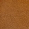 A041 Camel