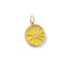 Lemon Slice