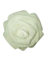 6G
