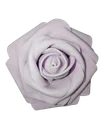 10G
