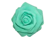 13G