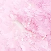 Pink Fireworks Glitter