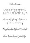 5.Police Cursive