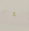 North Star Charm