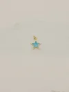 Colorful Star Charm
