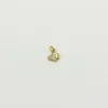 Fish Charm