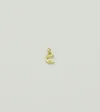 Golden Moon Charm