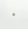 Large Crystal Star Charm