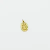 Medallion Charm