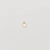 Mother of Pearl Charm