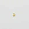 Starfish Charm