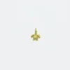 Turtle Charm
