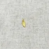 Angel Wing Charm