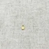 Paw Print Charm