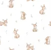 lapins