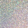 Silver Holo