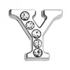Y
